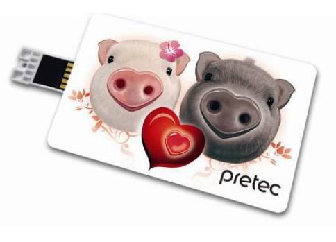 Card USB Flash Drive UEC-11